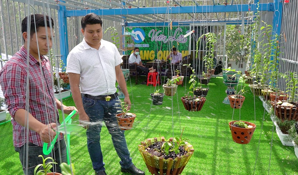 Ông chủ vườn lan Giang Lê ở Cần Thơ chia sẻ bí quyết trồng lan đột biến - ảnh 4