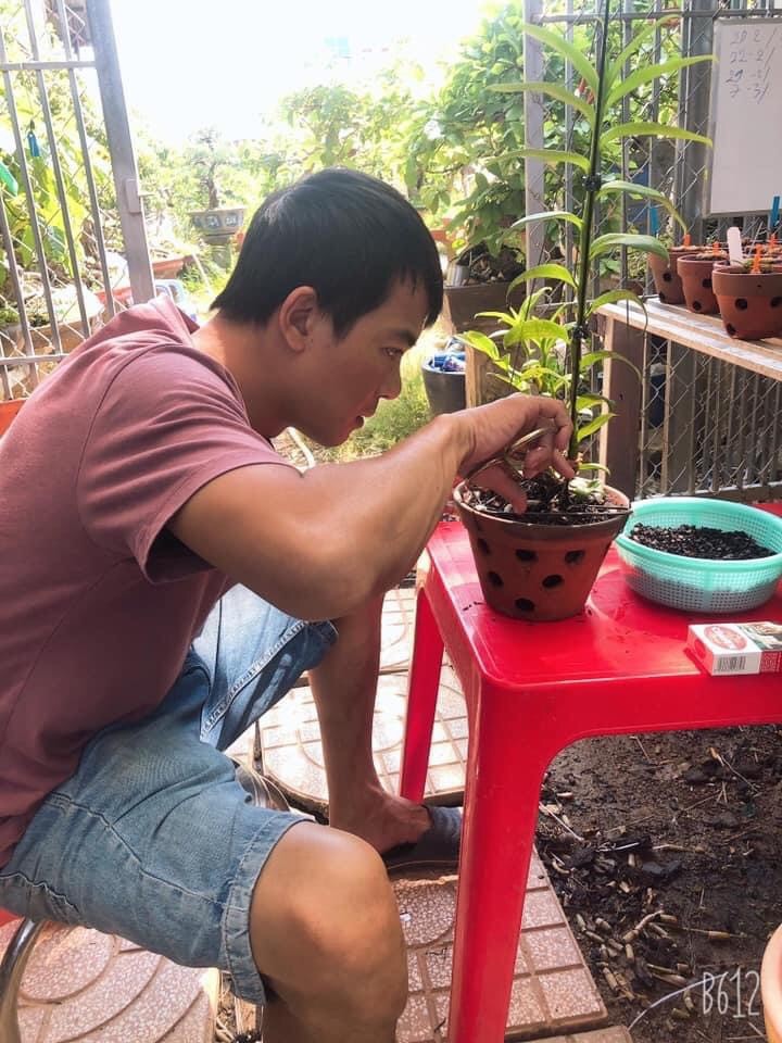 Nghệ nhân Phạm Hoàng Thái và hành trình theo đuổi niềm đam mê trồng lan - ảnh 1