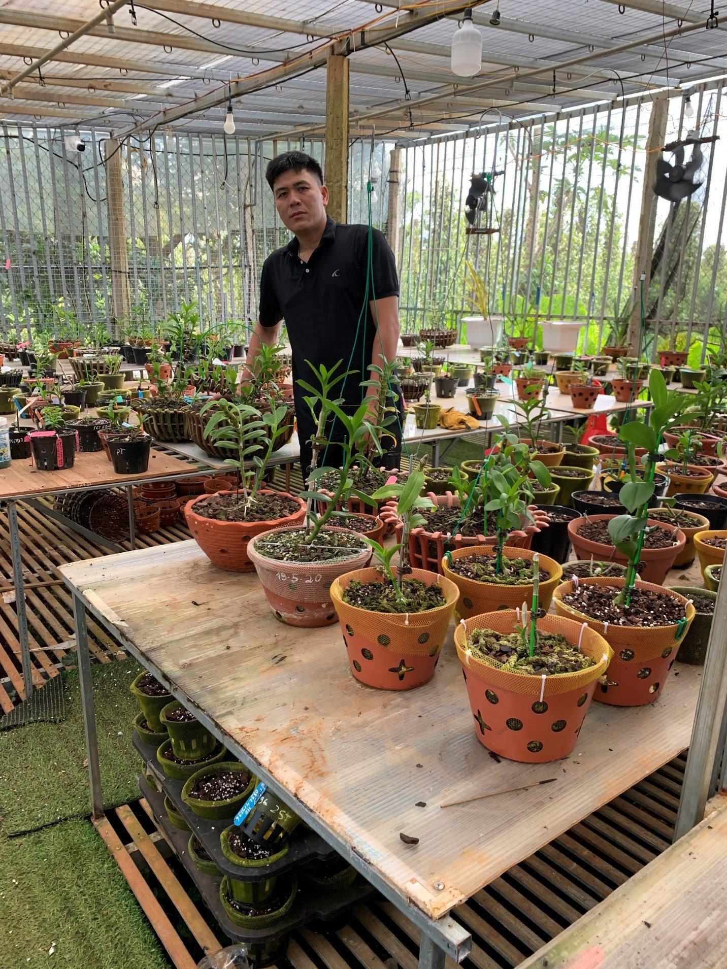 Nghệ nhân Nguyễn Thành Chuyên và đam mê với nghề trồng lan - ảnh 1