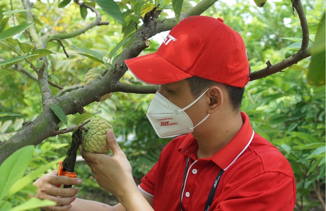 J&T Express nối dài hành trình hỗ trợ tiêu thụ nông sản Việt - ảnh 2
