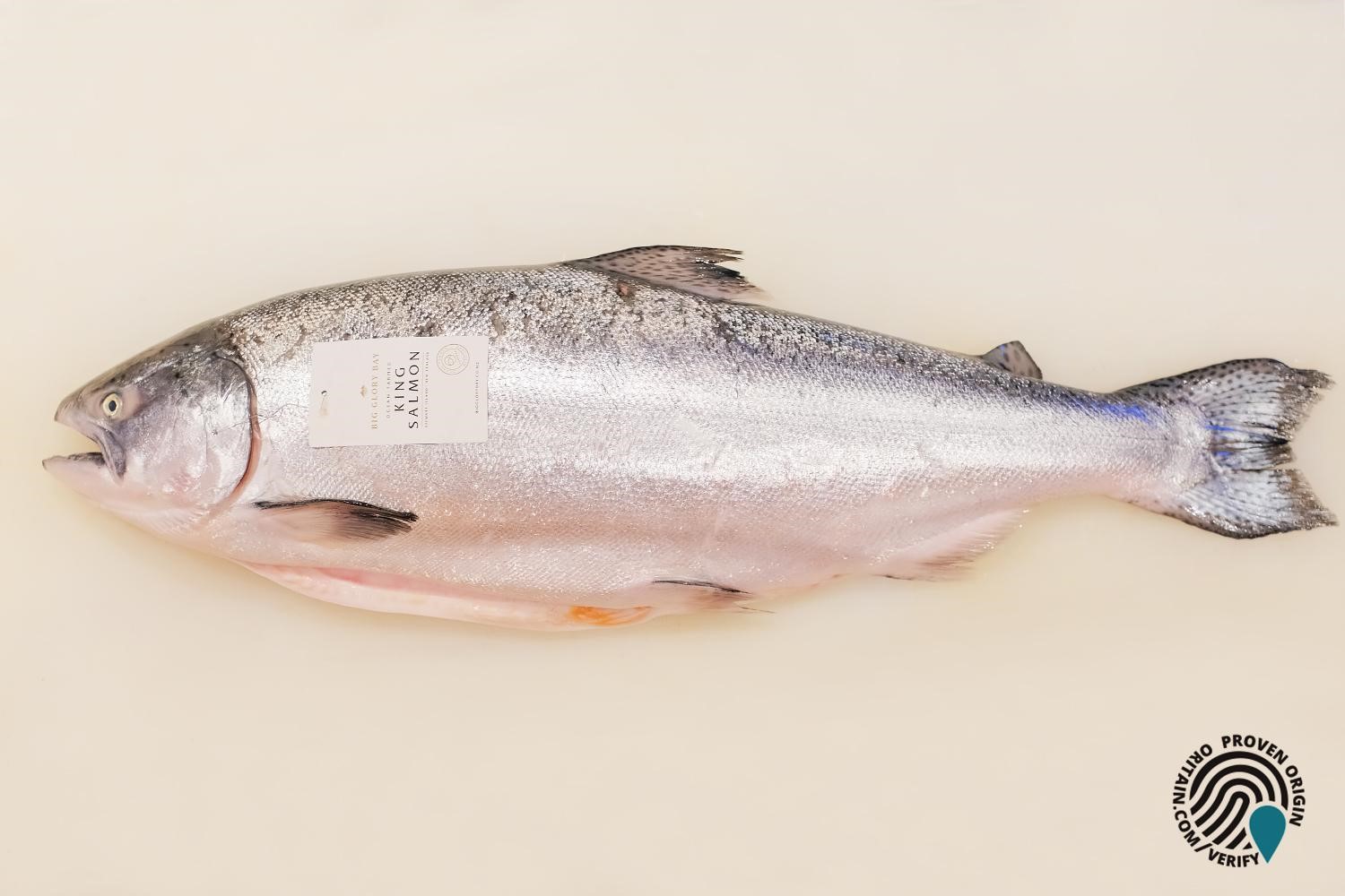 Sushi Hokkaido Sachi là nhà hàng đầu tiên nhập khẩu cá hồi “King Salmon” từ New Zealand