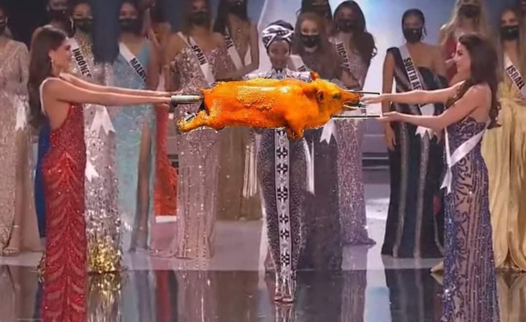 Loạt ảnh chế sau màn đăng quang Hoa hậu Hoàn vũ 2020: Cười muốn sái quai hàm là có thật!