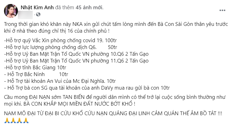 Tự bỏ tiền làm từ thiện, Nhật Kim Anh vẫn vướng thị phi: Bị nói định làm Thủy Tiên, được 10 đem cho có 4