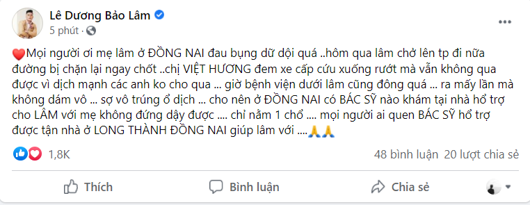 Mẹ ruột Lê Dương Bảo Lâm lên cơn đau bụng dữ dội, được Việt Hương hỗ trợ xe cấp cứu nhưng vẫn bị chặn đường - ảnh 1