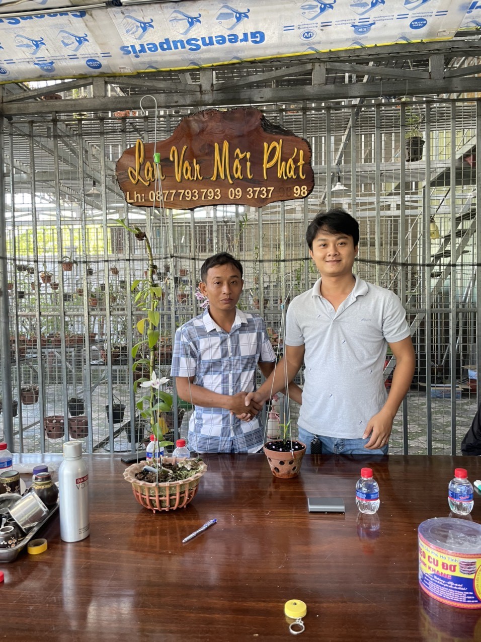 Nghệ nhân Trịnh Tuân và những chia sẻ trong quá trình trồng và chăm nuôi lan