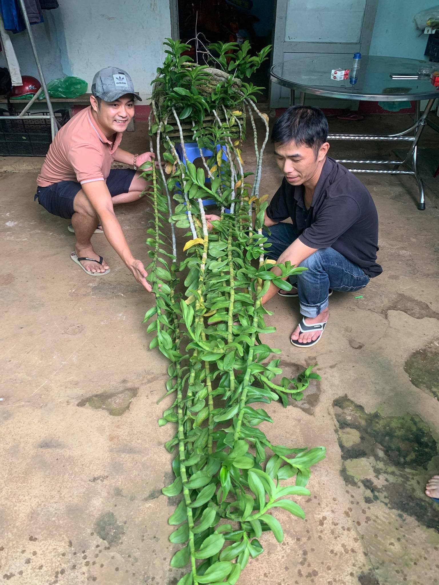 Nguyễn Ngọc Khánh – Hoa lan rừng một nghề kinh doanh mới được ra đời !