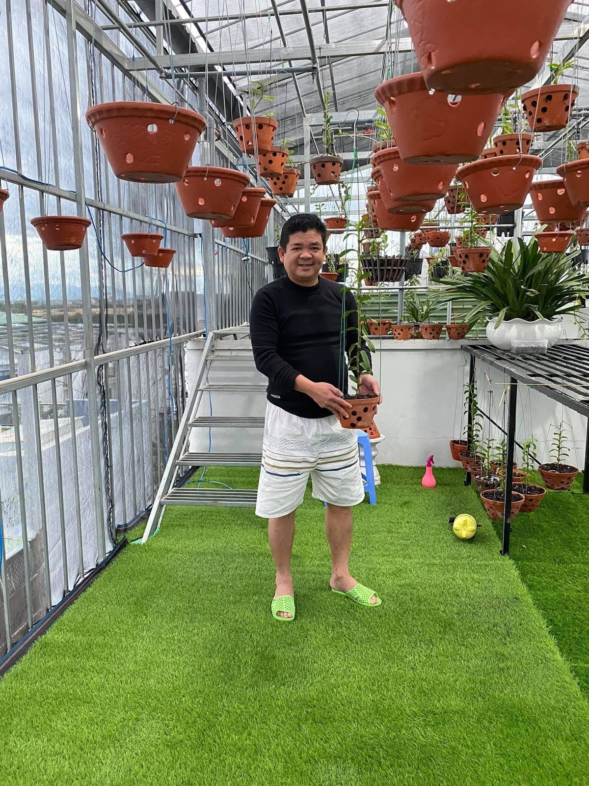  Anh Ba Huy (Nguyễn Ngọc Huy) hiện đang công tác tại Sở Tài nguyên & Môi trường tỉnh Bình Định và đồng thời nuôi dưỡng tình yêu với hoa lan 