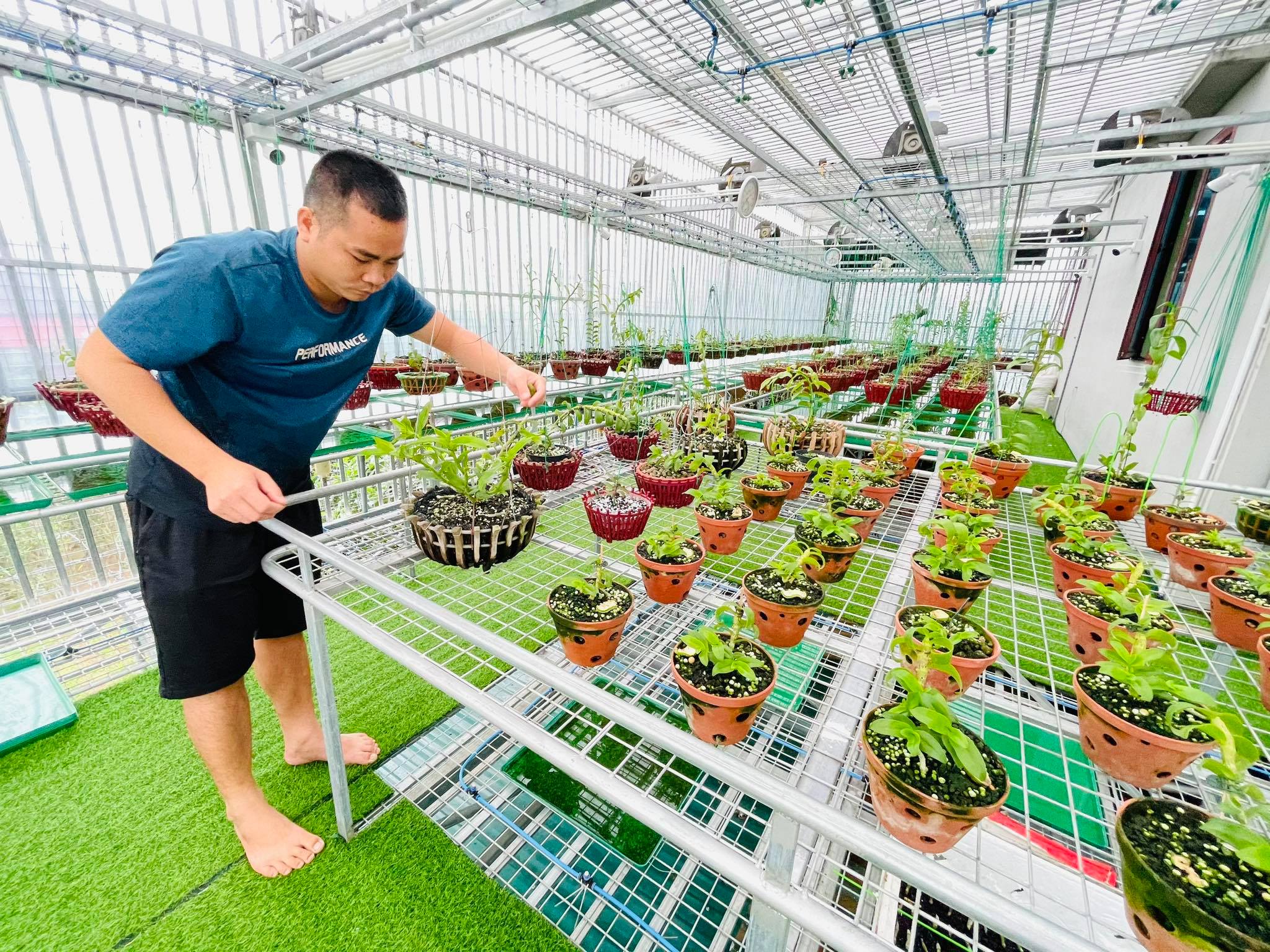 Ông chủ vườn lan Huỳnh Long sở hữu 20 loài lan đột biến đắt đỏ - ảnh 5