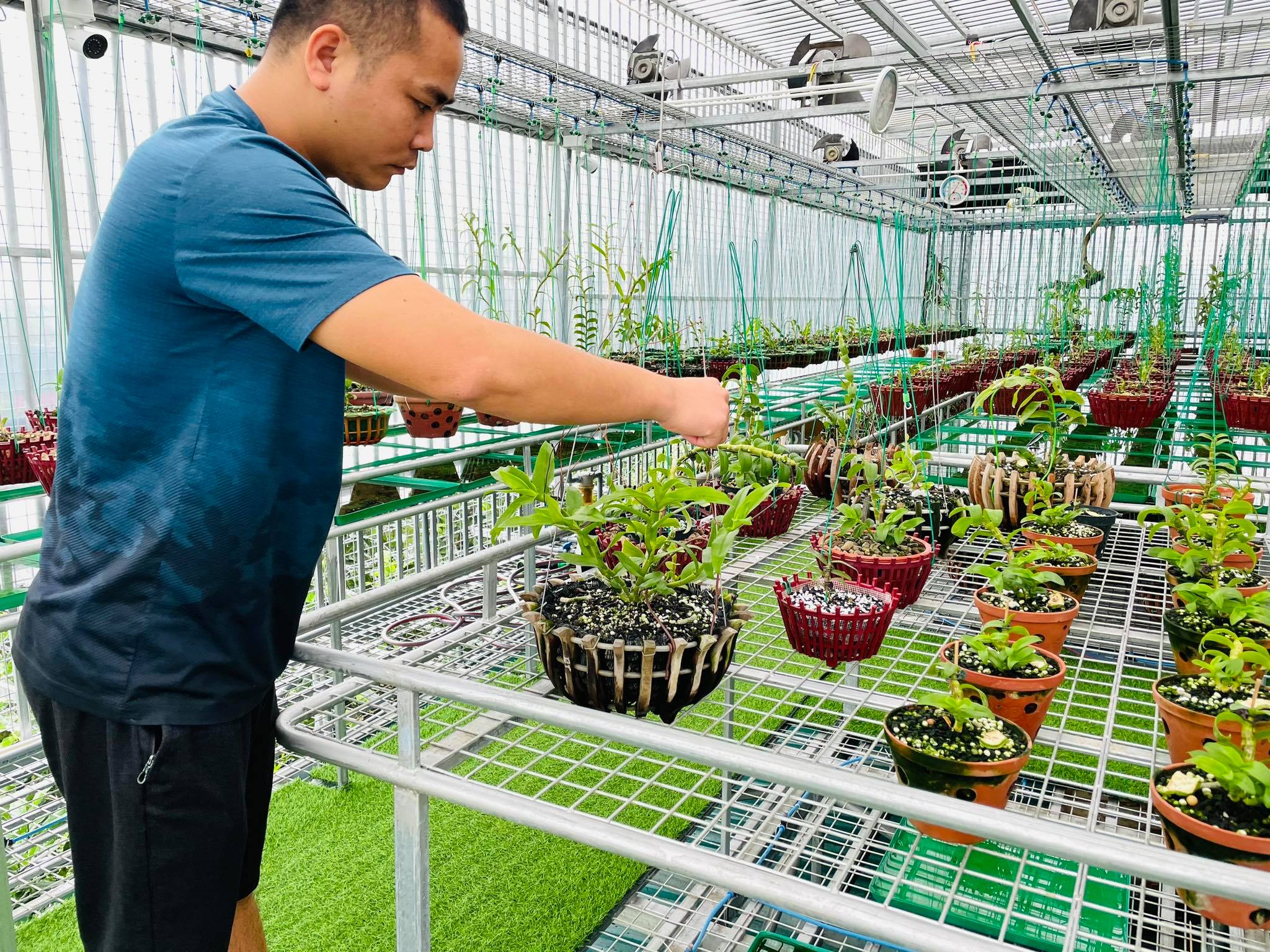 Ông chủ vườn lan Huỳnh Long sở hữu 20 loài lan đột biến đắt đỏ - ảnh 1
