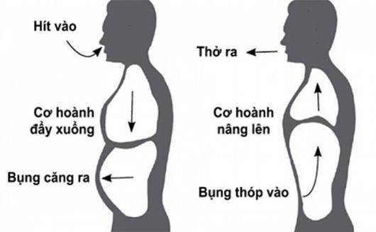 Bạn có biết: Phải làm gì để tăng cường sức khỏe mùa dịch? - ảnh 3