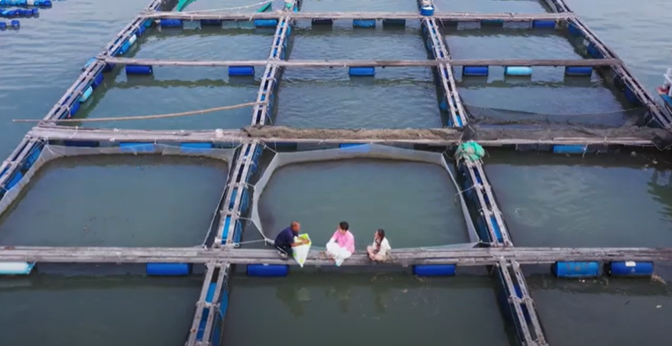 MC Hồng Phúc đưa diễn viên Như Quỳnh khám phá nghề nuôi trồng thủy hải sản tại làng bè Long Sơn - ảnh 5