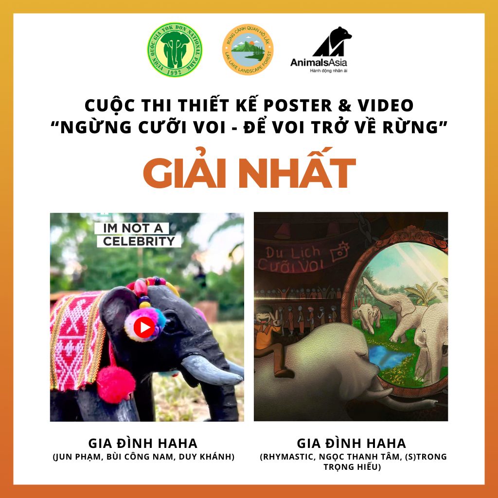 Dàn cast 'Gia đình Haha' lập cú đúp giải nhất cuộc thi 'Ngừng cưỡi voi - Để voi trở về rừng' - ảnh 1