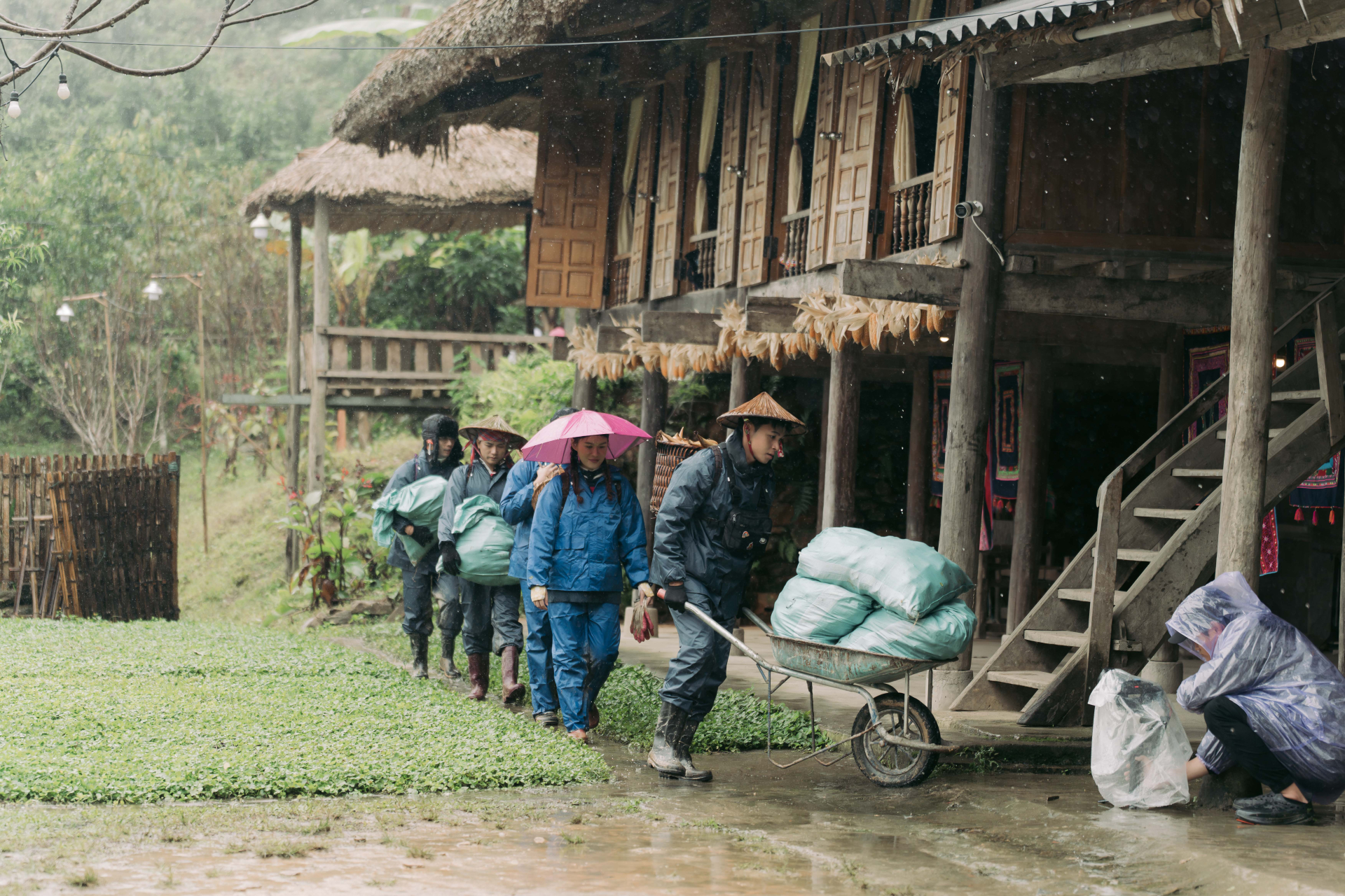 'Idol' mèo Lướng được dàn cast 'Gia Đình Haha' xây nhà mới - ảnh 4