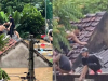 40 học sinh Nghệ An trèo lên mái nhà chen chúc cầu cứu do nước lũ dâng cao, không kịp chạy thoát
