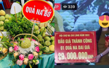 Sốc với 3 quả na ở Lạng Sơn trị giá 160 triệu đồng khiến dân mạng “bật ngửa”: “Ăn một quả chắc nhịn cả tháng”
