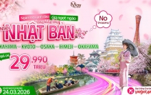 Chưa tới 30 triệu đồng, ngắm trọn mùa hoa anh đào Nhật Bản 2026