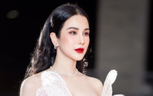 Diệp Lâm Anh lên tiếng giữa lùm xùm, gửi lời xin lỗi đến một người