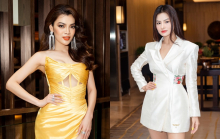 Vũ Thu Phương mặc đồ tự thiết kế, Hoa hậu Trân Đài khoe nhan sắc đỉnh cao tại sự kiện của NTK Võ Việt Chung