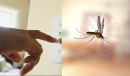 Tại sao tắt điện thì muỗi kêu vo ve, bật điện lên lại không tìm thấy?