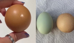 Tình cờ mua được quả trứng tròn xoe hoàn hảo ở siêu thị, người phụ nữ bán lại được cả chục triệu
