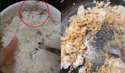 Bát cơm đầy kiến nhưng vẫn được cô gái này tận dụng nấu ăn khiến netizen ngỡ ngàng