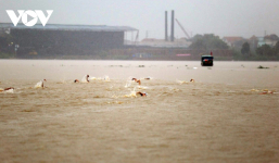 Bất chấp tổ chức thi bơi trong thời tiết xấu trên sông Cầm, 1 em học sinh bị nước cuốn ra đi mãi mãi