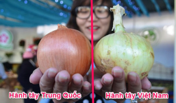 Cách nhận biết đâu là rau củ quả Việt Nam trồng, đâu là rau củ Trung Quốc từ cái nhìn đầu tiên