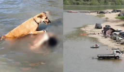 Người phụ nữ xuống nước để thử lòng chó cưng nhưng không may gặp sự cố ra đi mãi mãi