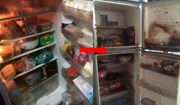 Tủ lạnh có 2 vị trí dễ bị bẩn ngang với bồn cầu, ít người chú ý để vệ sinh khiến vi khuẩn tụ đầy