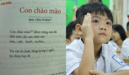 Tranh cãi bài thơ trong SGK tiếng Việt lớp 6 đến người lớn còn khó hiểu: 'Triu… uýt… huýt… tu hìu…' là gì?