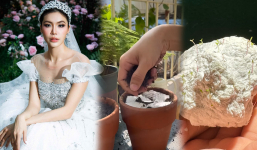 Thiệp cưới của Minh Tú sẽ nảy mầm thành cây gì, vì sao chọn địa điểm cưới hiếm cặp đôi Vbiz tổ chức?