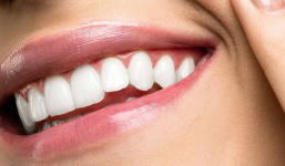 Nhật Bản nghiên cứu và thử nghiệm thuốc 'mọc lại răng' thần kỳ, 'đánh bay' nỗi lo thiếu răng trong tương lai gần