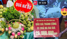 Sốc với 3 quả na ở Lạng Sơn trị giá 160 triệu đồng khiến dân mạng “bật ngửa”: “Ăn một quả chắc nhịn cả tháng”