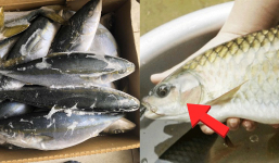 Những loại cá không nên mua, chuyên gia nghe thấy tên liền lắc đầu cấm tiệt