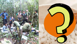 Vụ 4 đứa trẻ sống sót thần kỳ 40 ngày trong rừng: Hóa ra 'cứu tinh' là thứ rẻ bèo bán đầy chợ Việt Nam