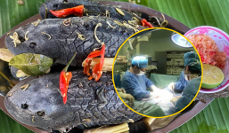 Bé gái 13 tuổi ở Kiên Giang gặp chuyện không may sau khi ăn cá lau kiếng