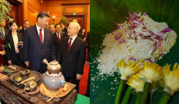 Ba loại trà quý được tuyển chọn để tiếp đón Chủ tịch nước Tập Cận Bình khi sang thăm Việt Nam có gì đặc biệt?