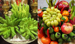 Việt Nam có một loại quả hình thù kỳ lạ nhưng Tết nào cũng được 'săn tìm' trưng bàn thờ, giá cả triệu một quả