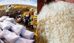 Giá gạo Việt Nam tăng mạnh khi xuất khẩu, giá bán trong nước có bị ảnh hưởng?