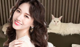 Hari Won mong mọi người 'đừng tiêu cực hoá' khi đăng bài bảo vệ mèo giữa thời điểm nhạy cảm