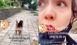 Cô gái người Nga hoảng hốt khi được mời ăn thịt chó: 'Tại sao?, con chó không phải là đồ ăn'