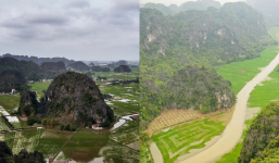 Nghỉ lễ 10/3, về Hang Múa, Tam Cốc ngắm lúa xanh đẹp nhất năm ở Ninh Bình