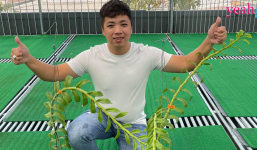 Huỳnh Vũ: Từ chàng trai trông xe đến ông chủ vườn lan giá trị