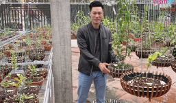 Hé lộ vườn lan giá trị cao của thầy giáo trẻ Vũ Hoàng Giang