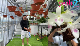 Nghệ nhân Nguyễn Ngọc Huy - thỏa niềm yêu hoa, từ cán bộ đến ông chủ vườn lan hoành tráng