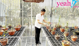 Trần Khánh Mãi: Chàng trai sở hữu vườn lan giá trị nhờ theo đuổi đam mê