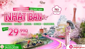 Chưa tới 30 triệu đồng, ngắm trọn mùa hoa anh đào Nhật Bản 2026