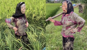 Hai cụ bà rủ nhau ra thăm ruộng thì bị ngã, nhìn hình ảnh lấm lem bùn đất vừa thương vừa buồn cười