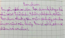 Học sinh lớp 3 viết văn 'tả con chim' vỏn vẹn 5 dòng, cô giáo đọc xong, không chấm điểm