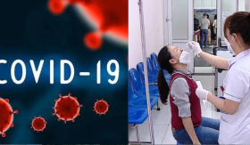 Bộ Y tế chỉ đạo Hỏa Tốc phòng chống dịch bệnh Covid-19, Sốt Xuất huyết